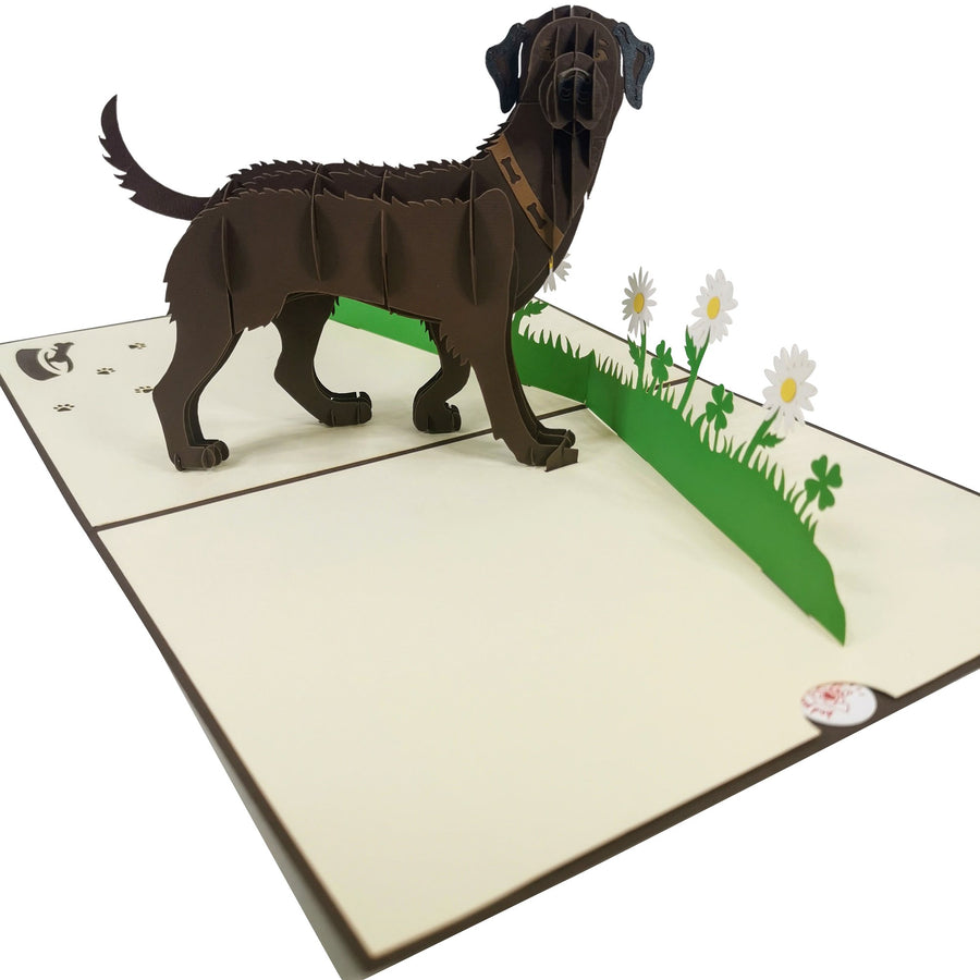 Brown Labrador 3D Pop Up Card UK