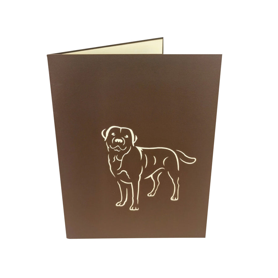 Brown Labrador 3D Pop Up Card UK