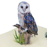 Barn Owl 3D Pop Up Card UK