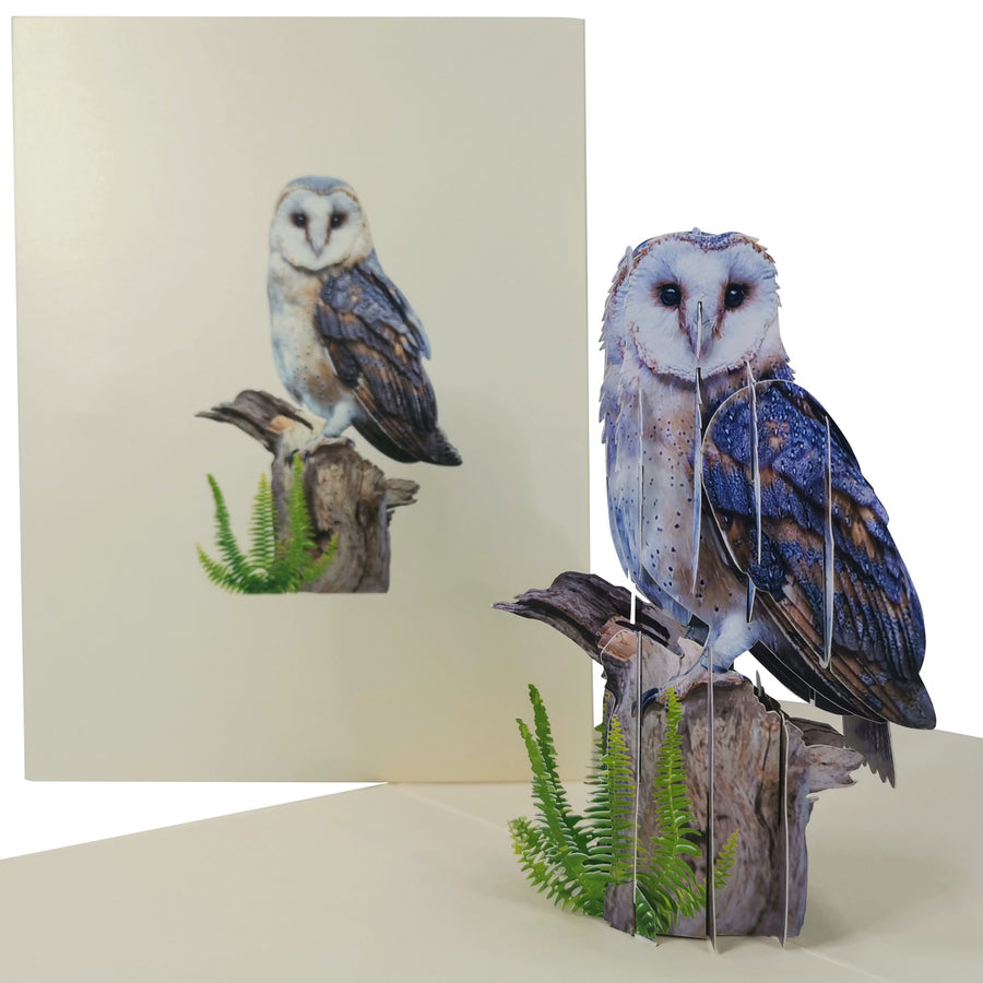 Barn Owl 3D Pop Up Card UK