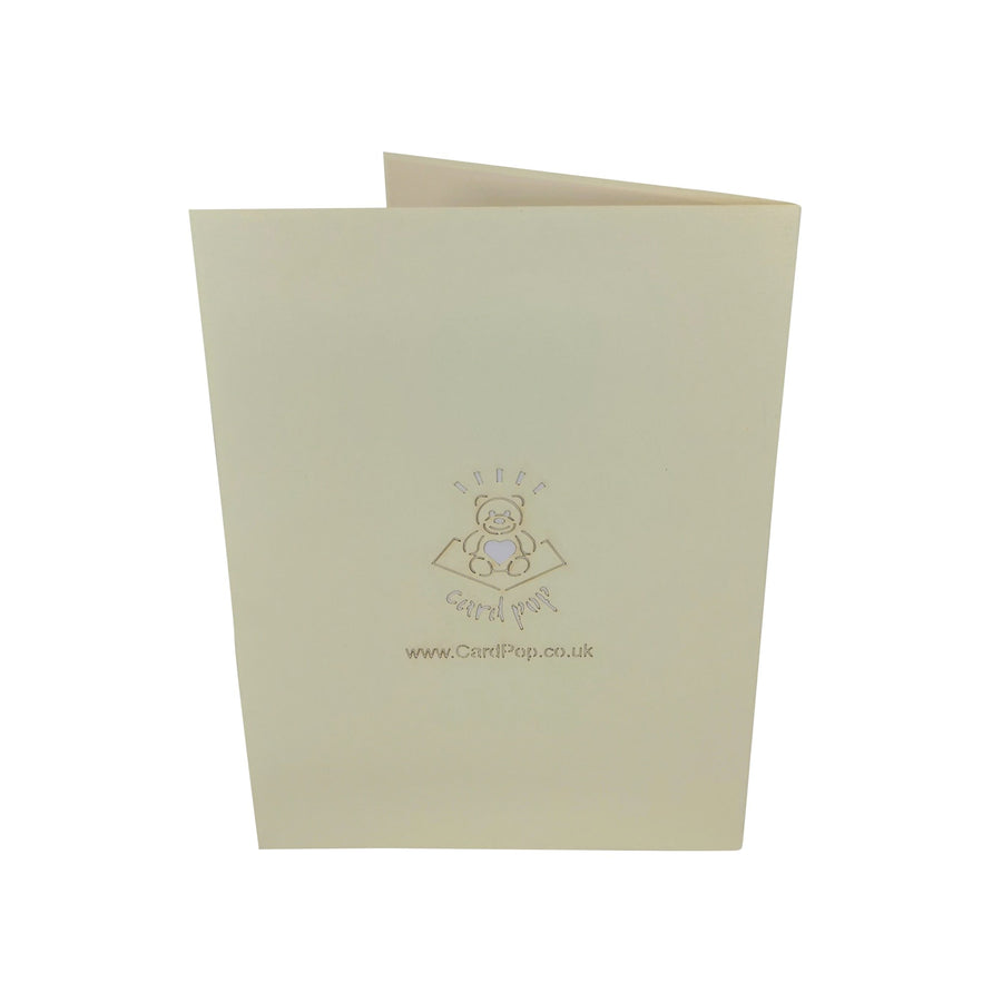 Barn Owl 3D Pop Up Card UK