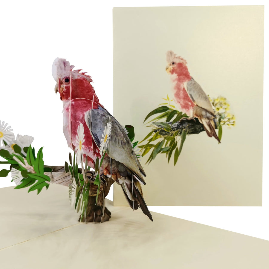 Pink and Grey Cockatoo 3D Pop Up Card UK