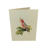 Pink and Grey Cockatoo 3D Pop Up Card UK