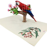 Scarlet Macaw Parrot 3D Pop Up Card UK