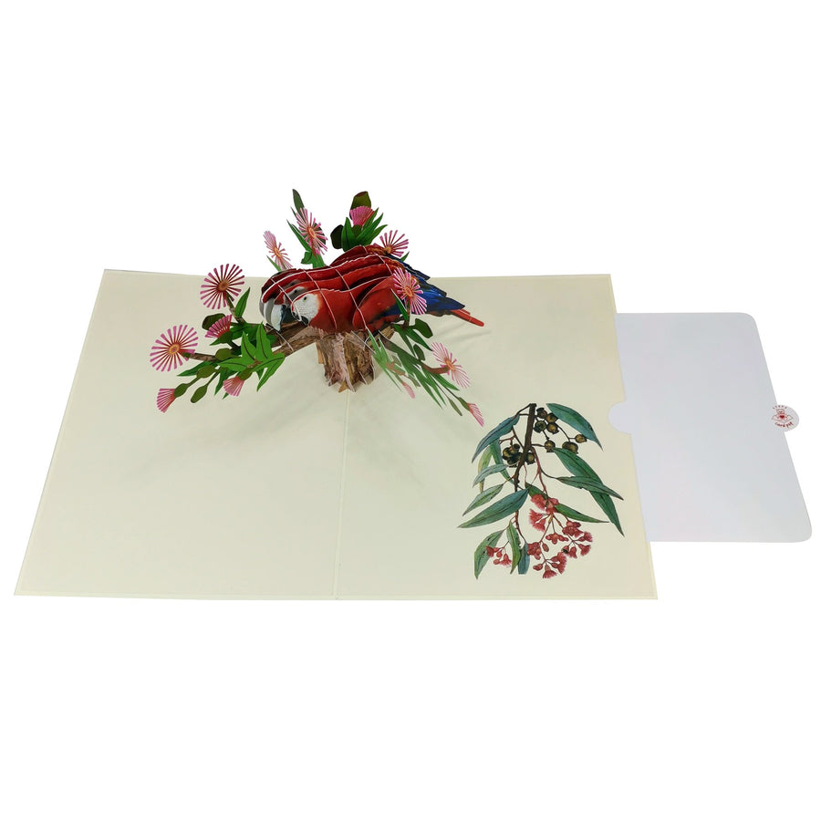 Scarlet Macaw Parrot 3D Pop Up Card UK