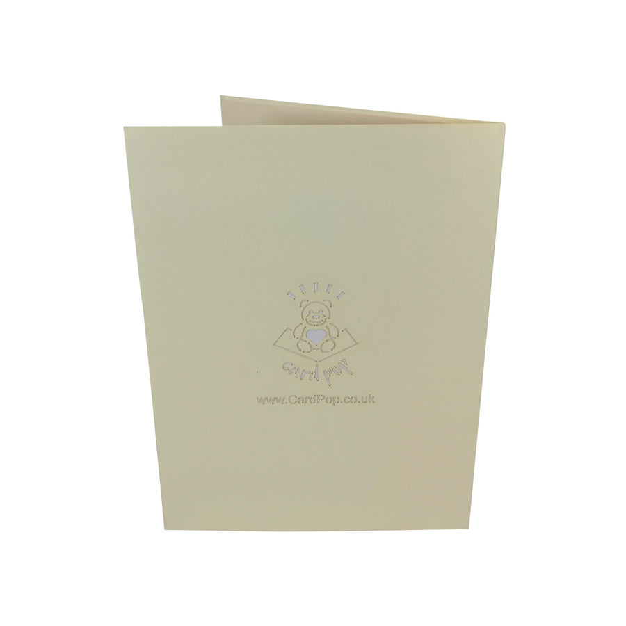 Scarlet Macaw Parrot 3D Pop Up Card UK