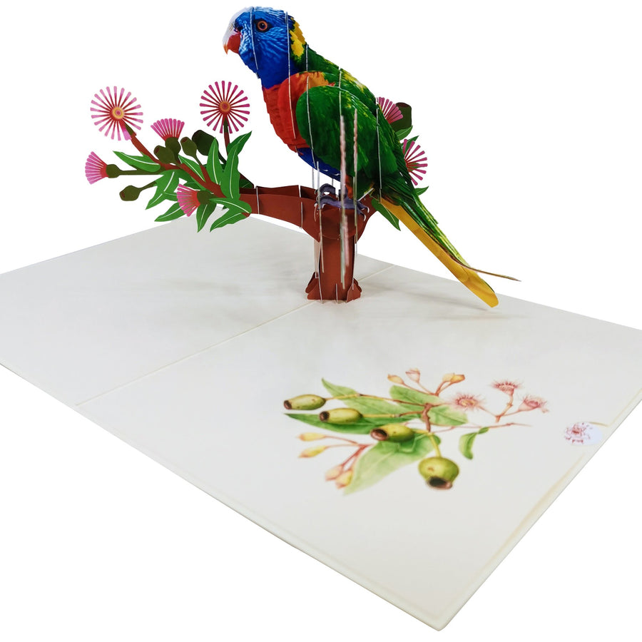 Rainbow Lorikeet Parrot 3D Pop Up Card UK