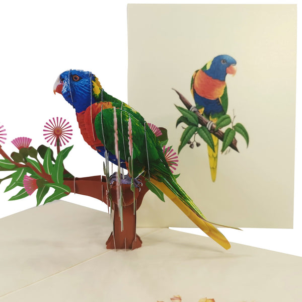 Rainbow Lorikeet Parrot Pop-Up Card