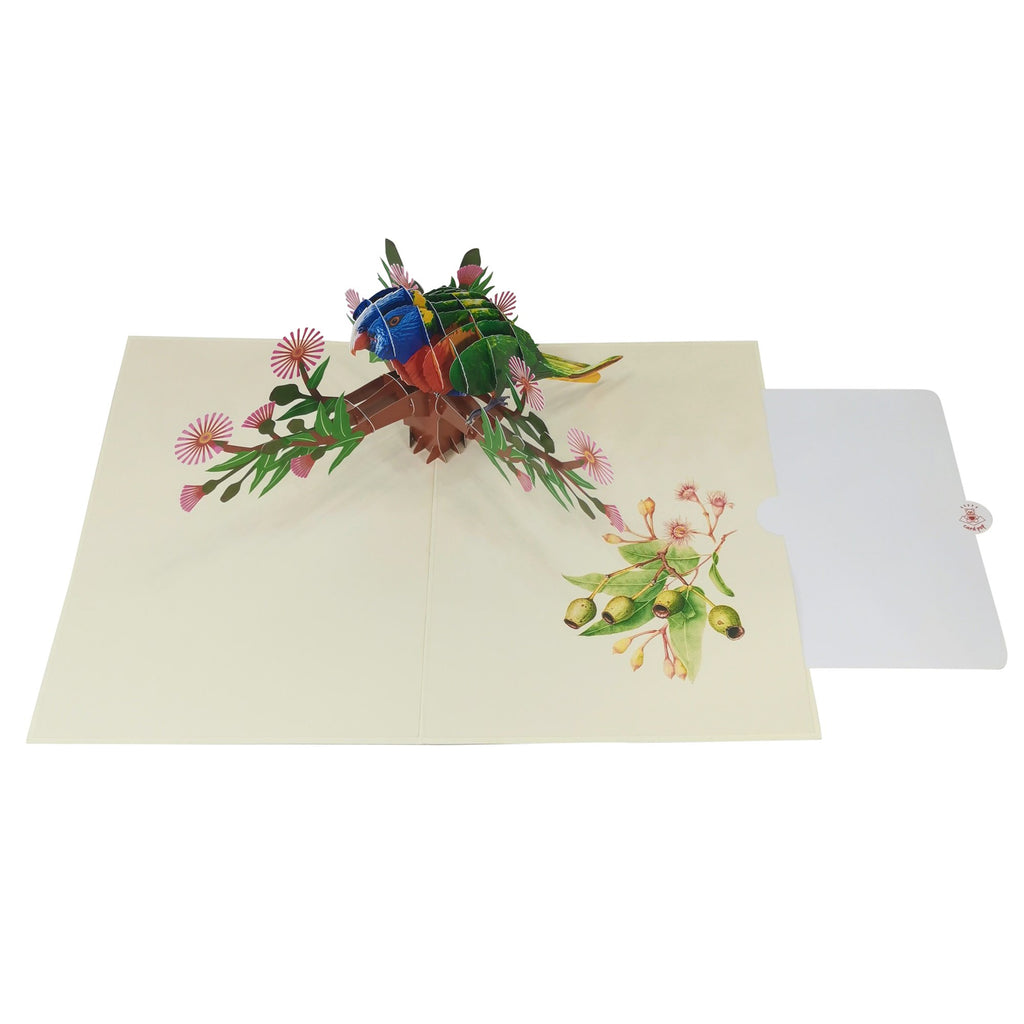 Rainbow Lorikeet Parrot Pop-Up Card – CardPop.co.uk