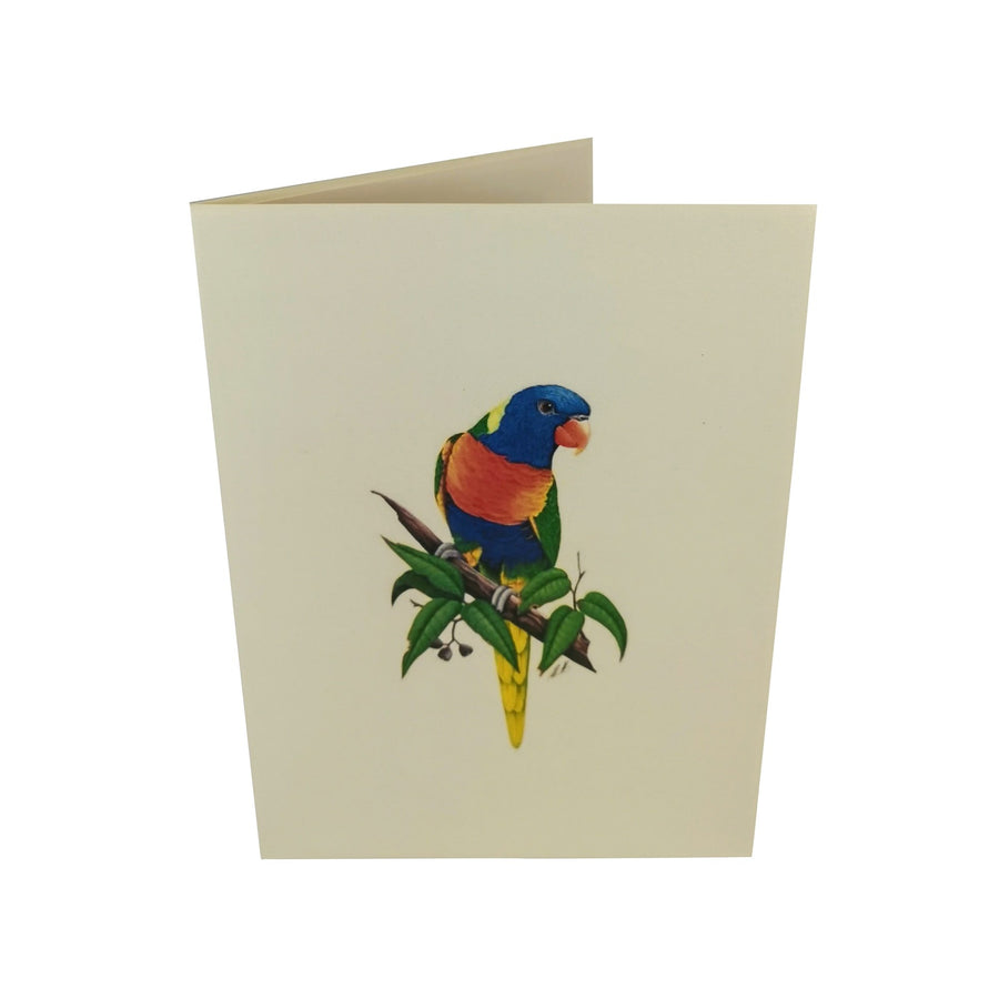 Rainbow Lorikeet Parrot 3D Pop Up Card UK