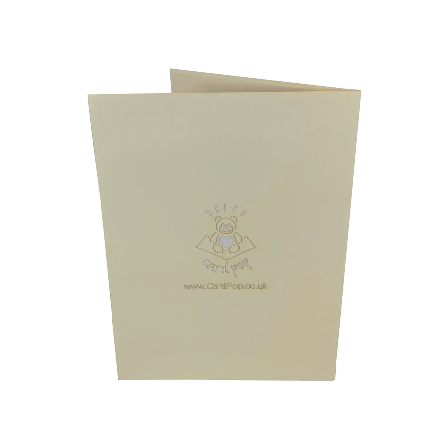 Rainbow Lorikeet Parrot 3D Pop Up Card UK