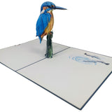 Kingfisher 3D Pop Up Card UK