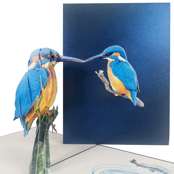 Kingfisher Pop-Up Card