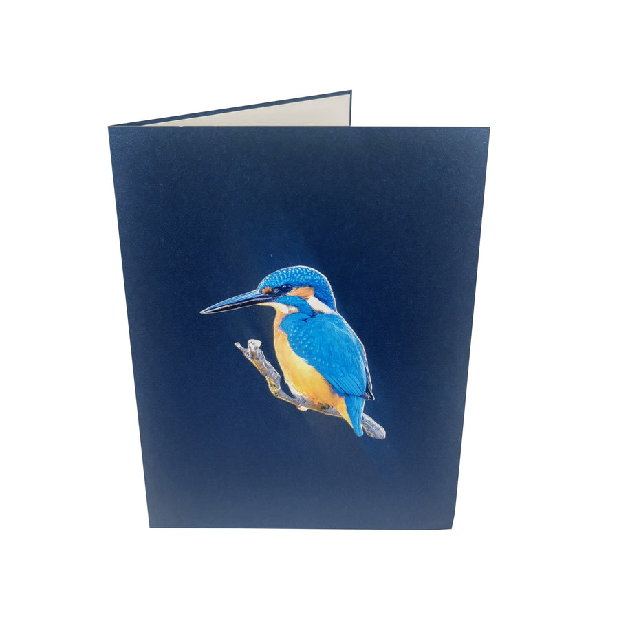 Kingfisher 3D Pop Up Card UK