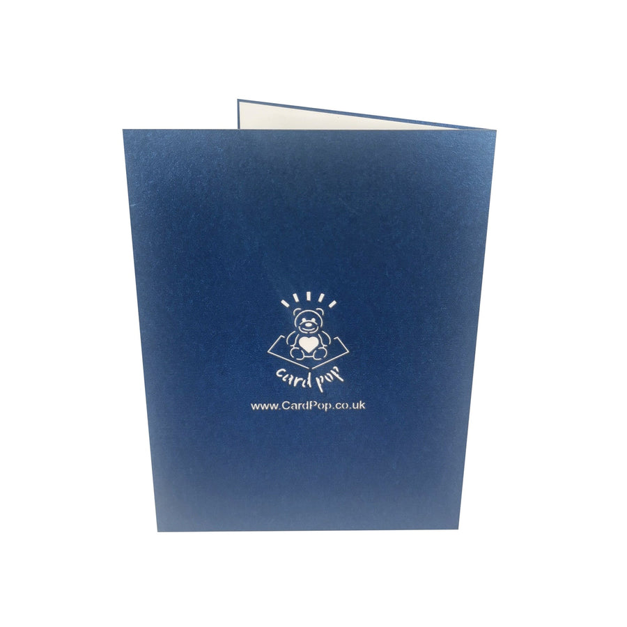 Kingfisher 3D Pop Up Card UK