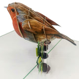Robin Red Breast 3D Pop Up Card UK