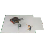 Robin Red Breast 3D Pop Up Card UK
