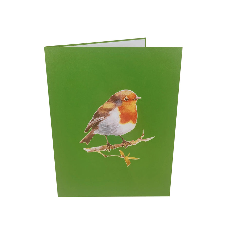 Robin Red Breast 3D Pop Up Card UK