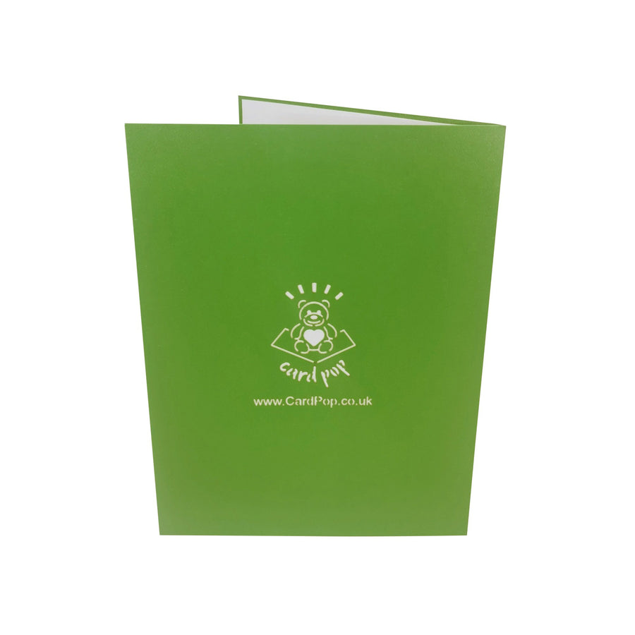 Robin Red Breast 3D Pop Up Card UK