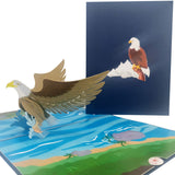 Bald Eagle 3D Pop Up Card UK