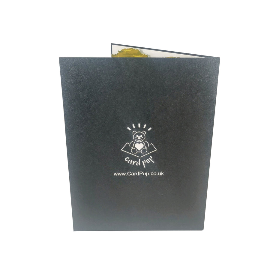 Zebra & Foal 3D Pop Up Card UK