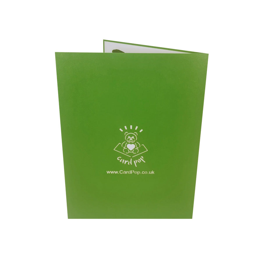 Green Frog 3D Pop Up Card UK