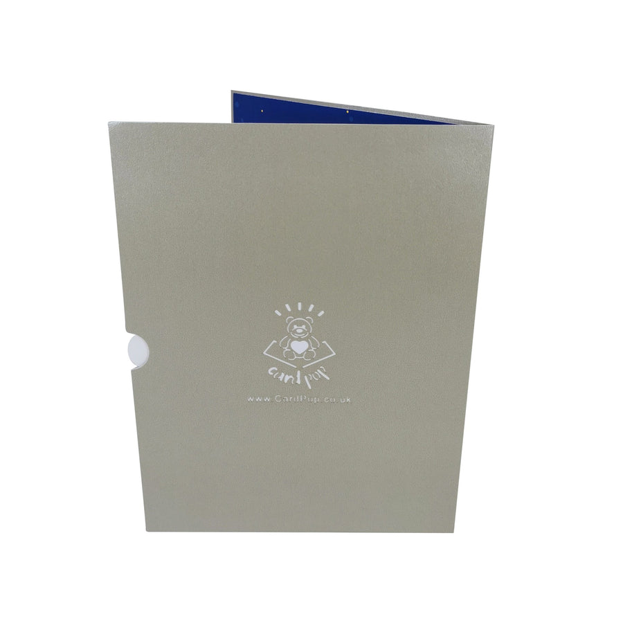 Dolphin & Calf 3D Pop Up Card UK