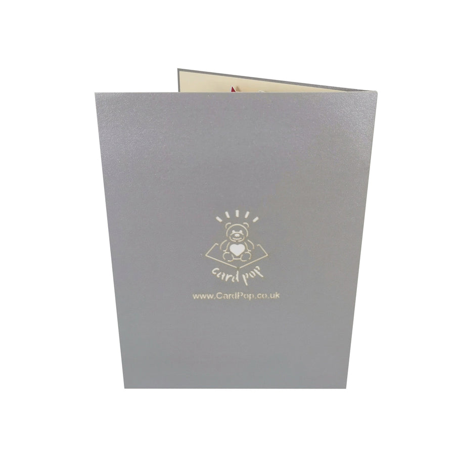 Birthday Party Elephant 3D Pop Up Card UK