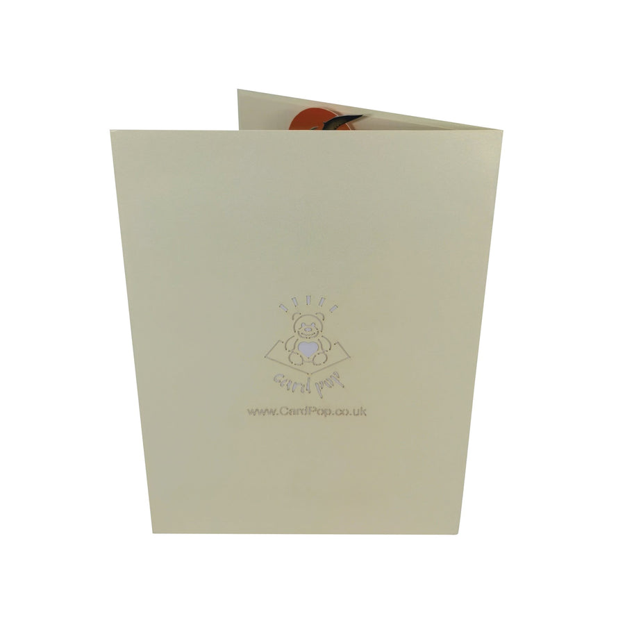 T Rex & Pterodactyl 3D Pop Up Card UK