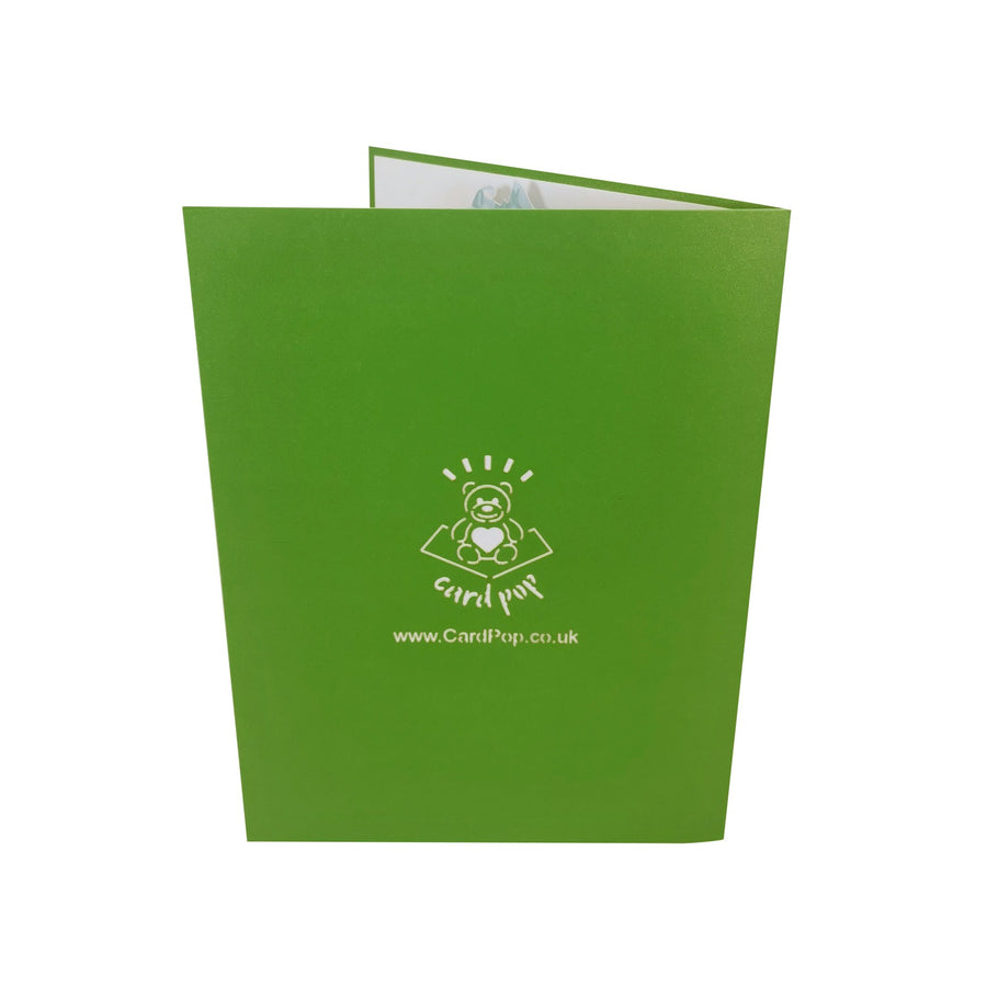 RV Motorhome Caravan 3D Pop Up Card UK