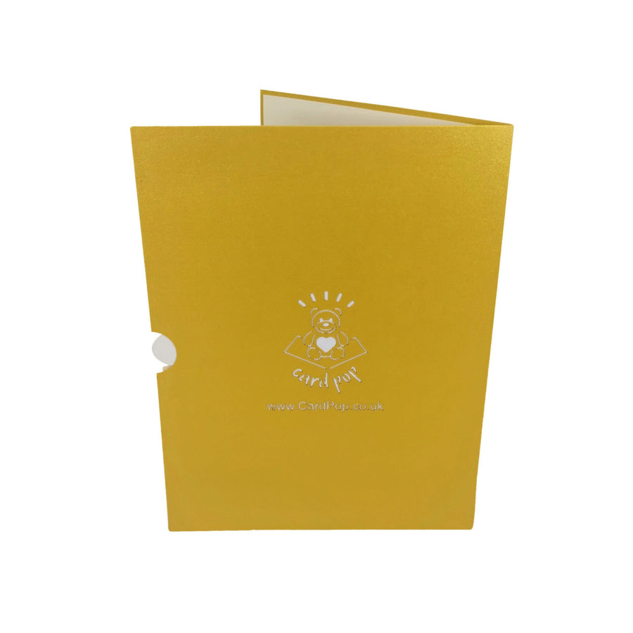 Traditional Nativity Scene 3D Pop Up Christmas Card UK