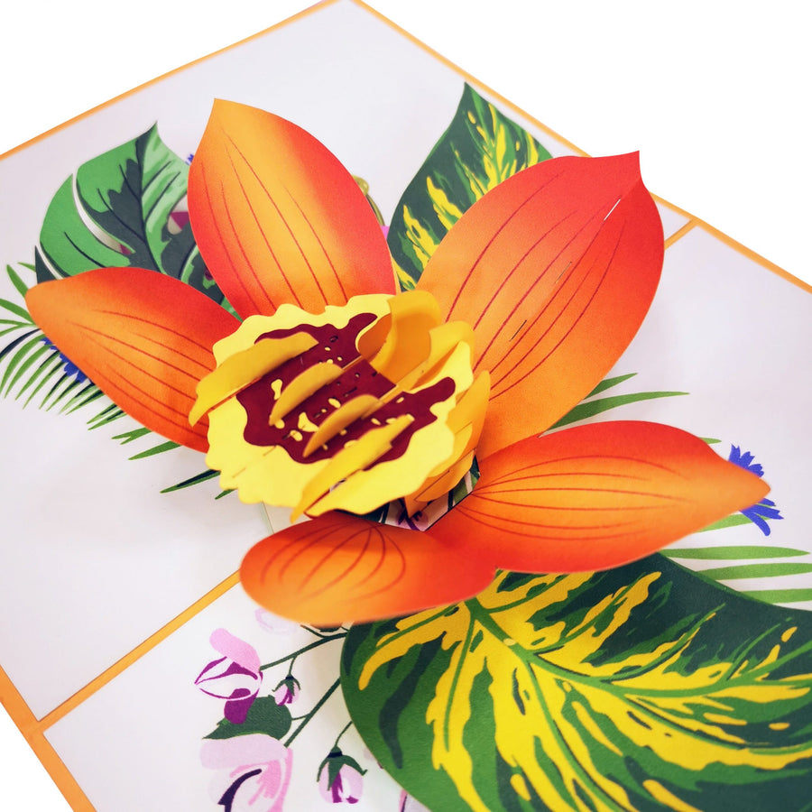 Orange Orchid Bloom 3D Pop Up Card