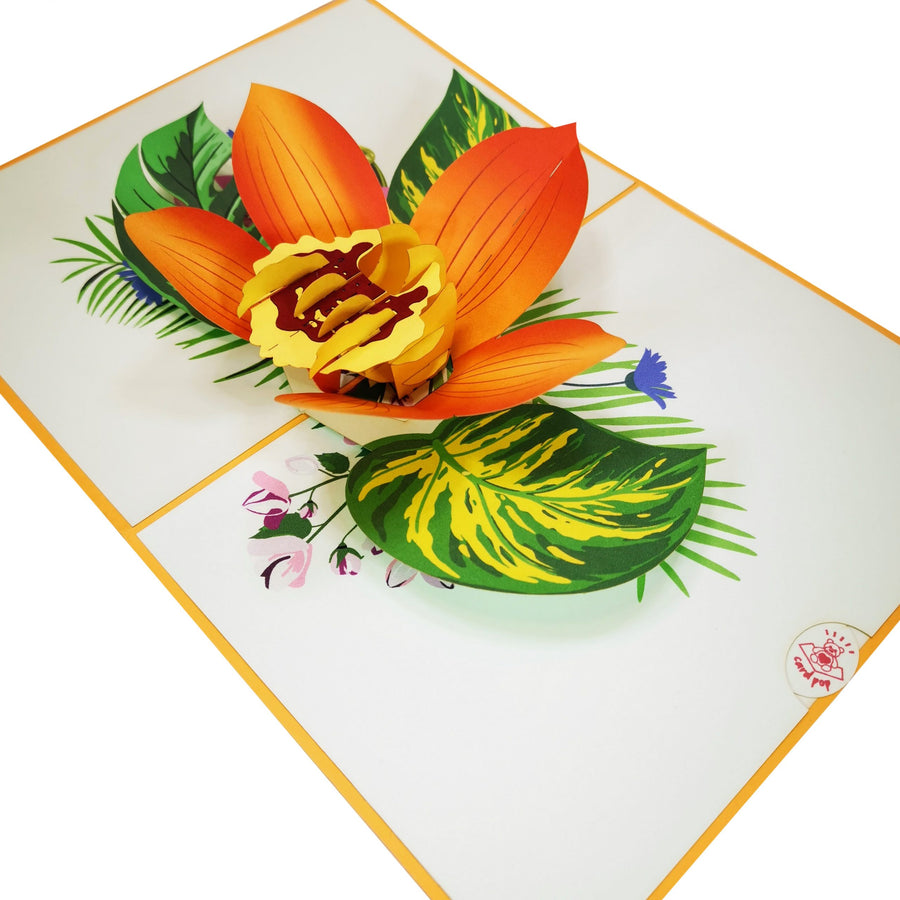 Orange Orchid Bloom 3D Pop Up Card