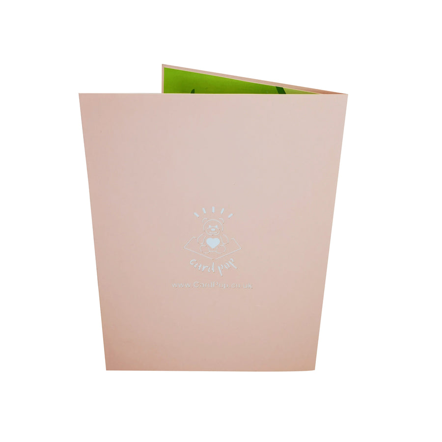 Mother's Day Watering Can 3D Pop Up Card UK