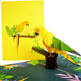 Sun Parakeet Parrot 3D Pop Up Card UK