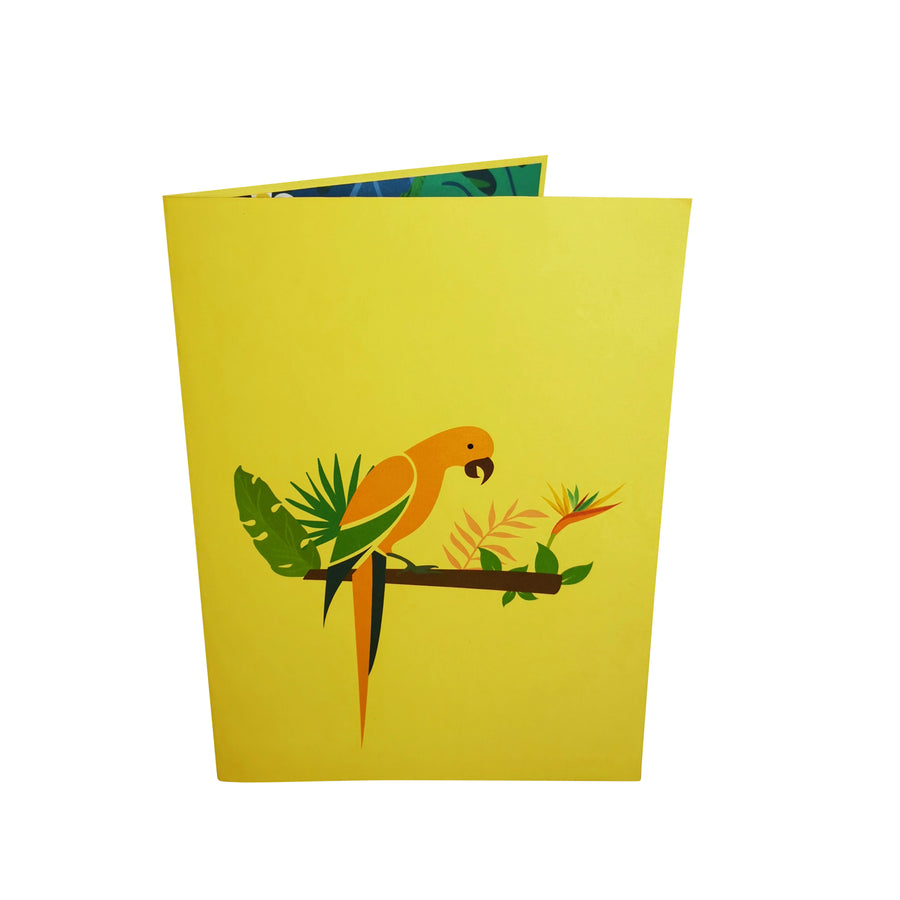Sun Parakeet Parrot 3D Pop Up Card UK