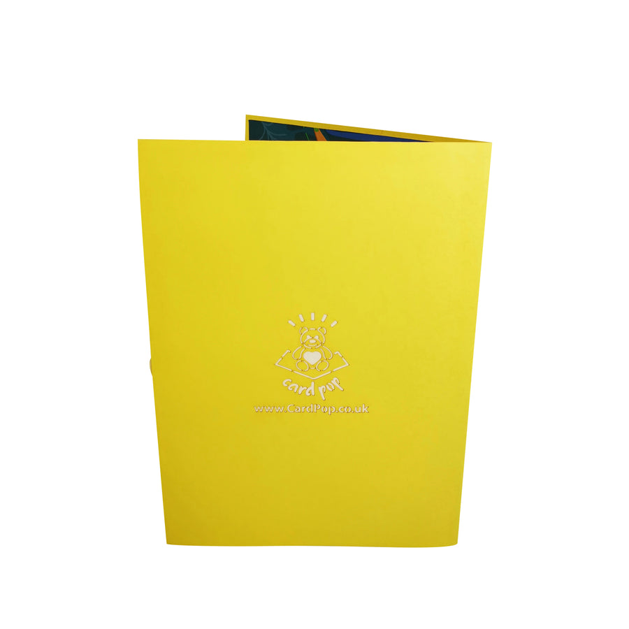 Sun Parakeet Parrot 3D Pop Up Card UK