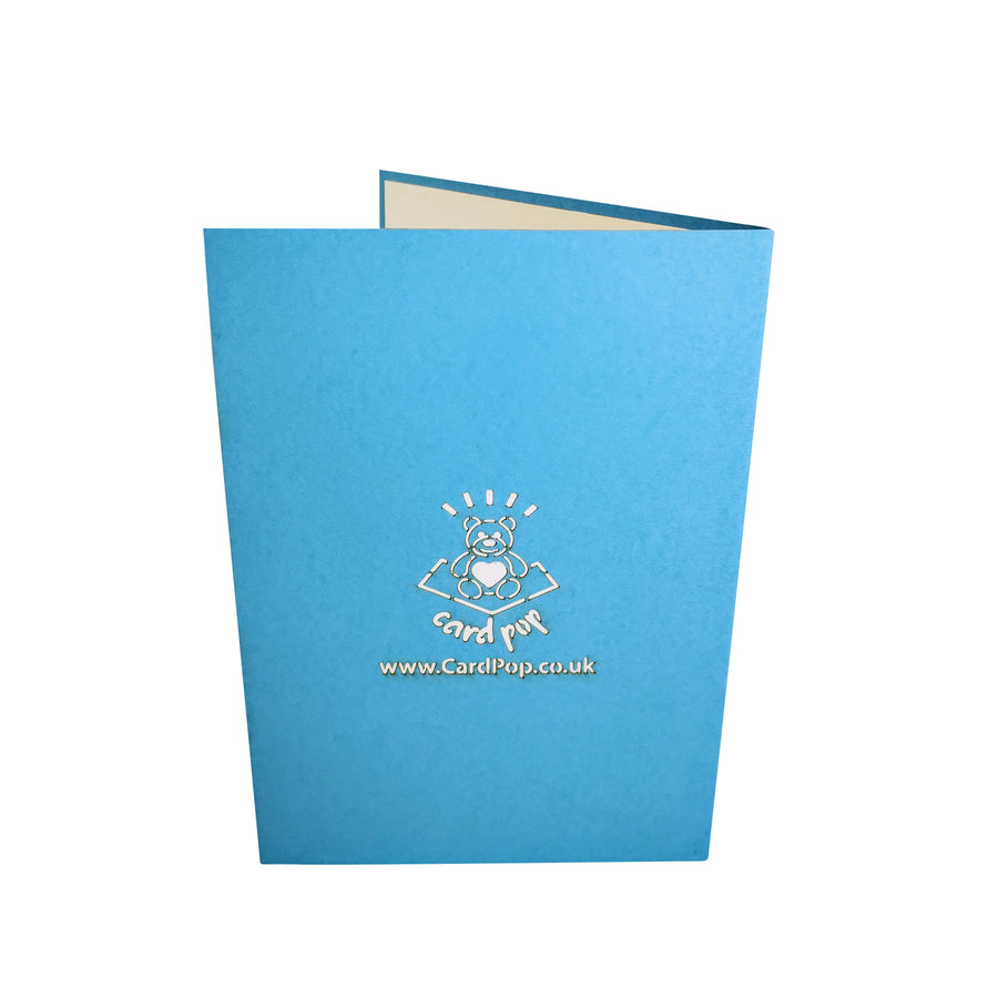 Flower Cat 3D Pop Up Card UK