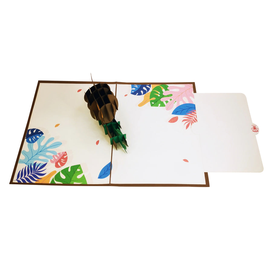 Robin Redbreast 3D Pop Up Card UK