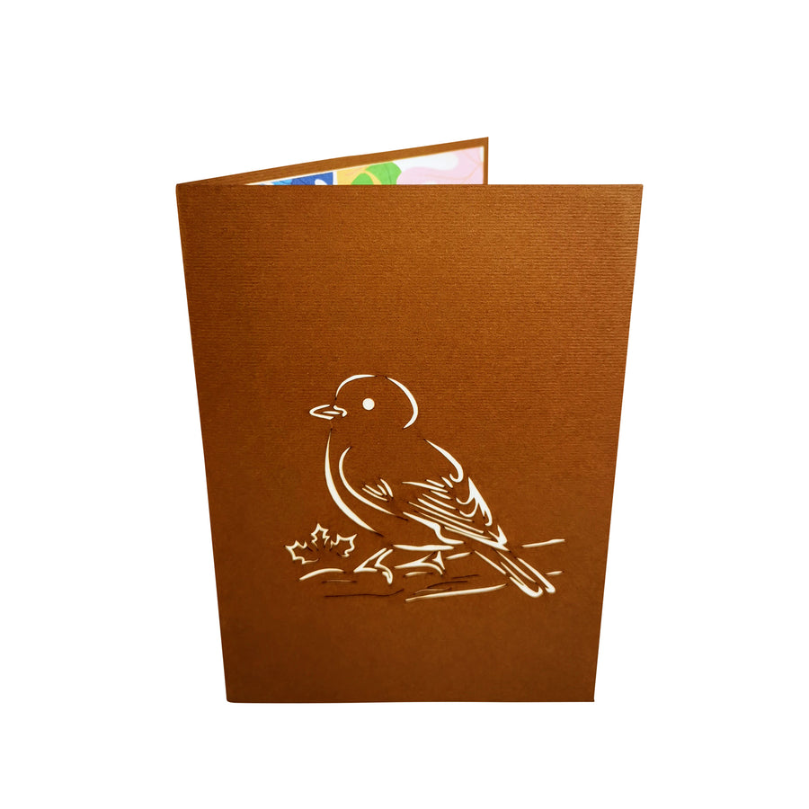 Robin Redbreast 3D Pop Up Card UK