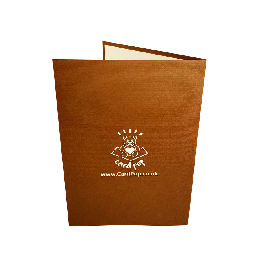 Robin Redbreast 3D Pop Up Card UK