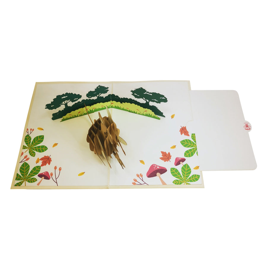 Kangaroo 3D Pop Up Card UK