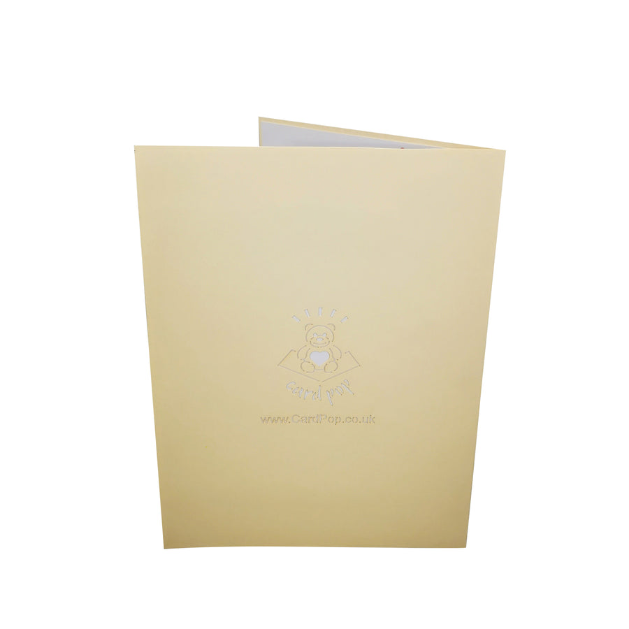 4 Seasons Romance Tree 3D Pop Up Card UK