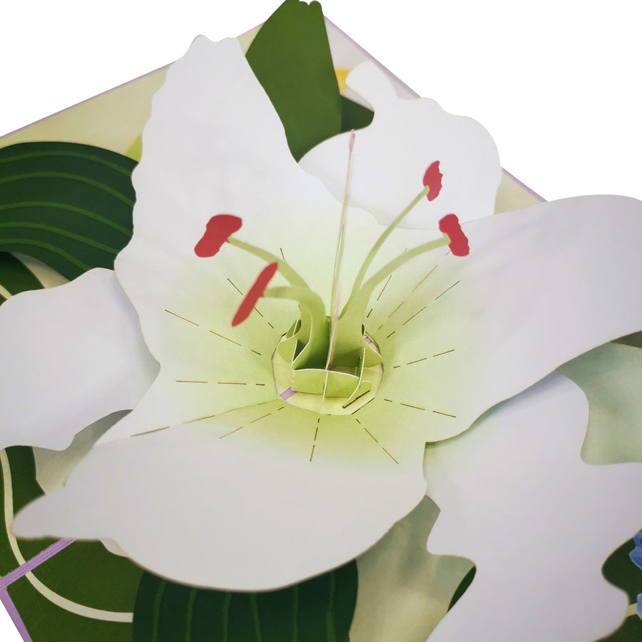 White Lily Bloom 3D Pop Up Card UK