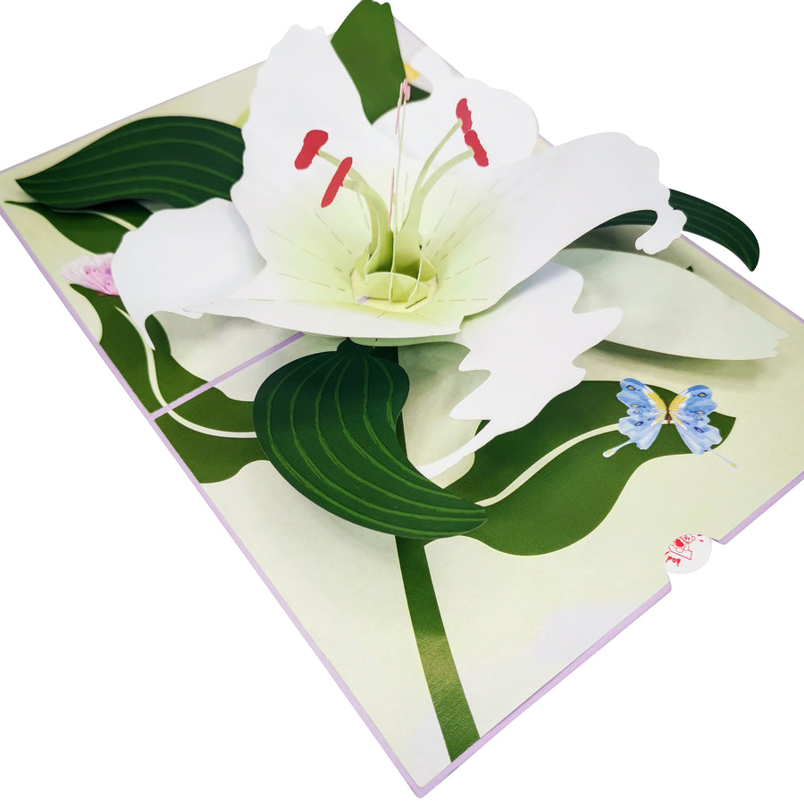 White Lily Bloom 3D Pop Up Card UK