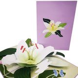 White Lily Bloom 3D Pop Up Card UK