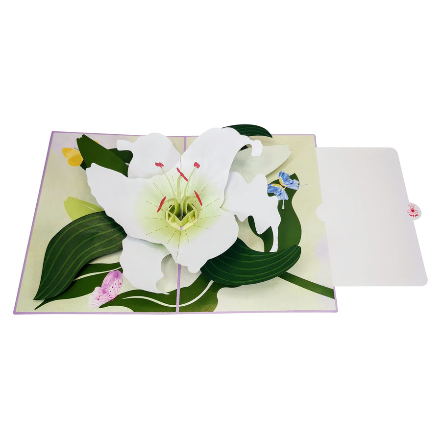 White Lily Bloom 3D Pop Up Card UK