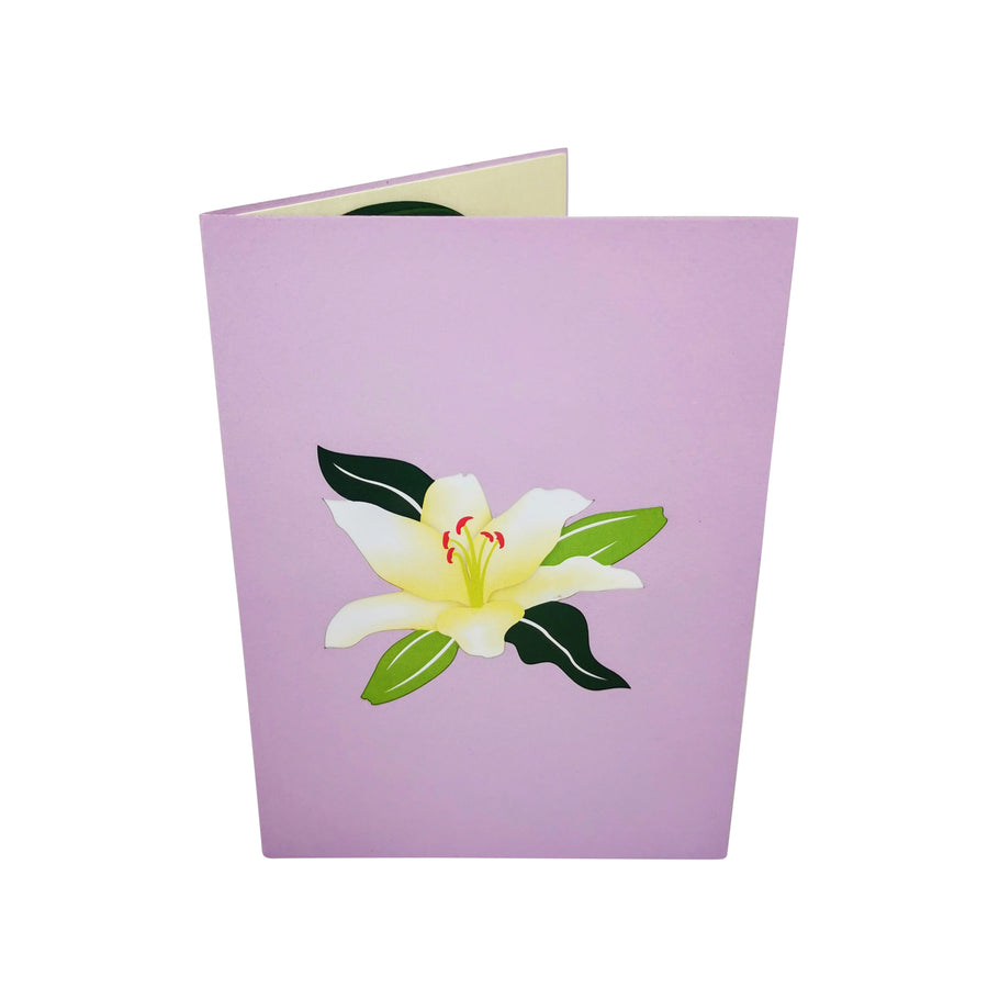 White Lily Bloom 3D Pop Up Card UK