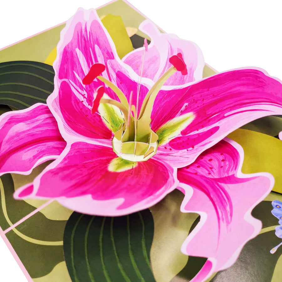 Pink Lily Bloom 3D Pop Up Card UK