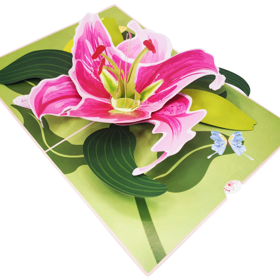 Pink Lily Bloom 3D Pop Up Card UK